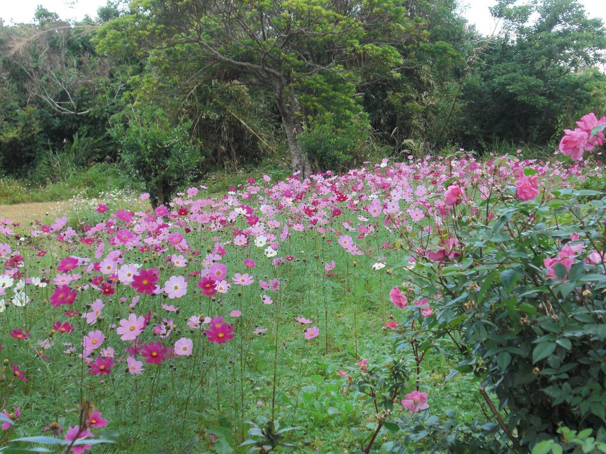 HigashiMatayoshi Coffee Farm别墅 外观 照片