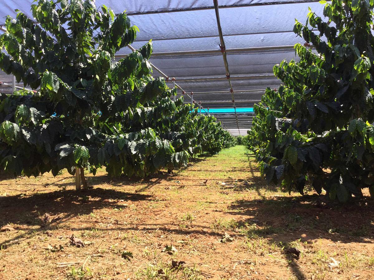 HigashiMatayoshi Coffee Farm别墅 外观 照片