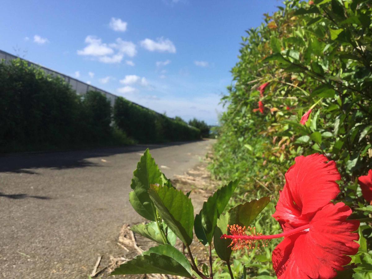 HigashiMatayoshi Coffee Farm别墅 外观 照片