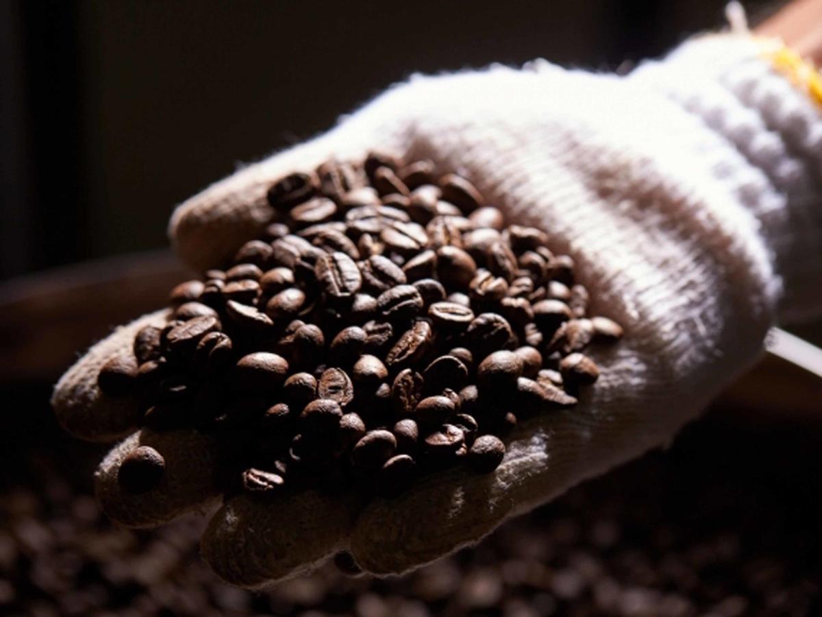 HigashiMatayoshi Coffee Farm别墅 外观 照片